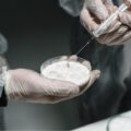 cocaine laboratory