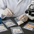 Lab worker analyzing drug samples