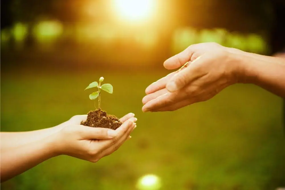 Support is available: from your substance abuse evaluation until your full recovery, Wellbrook is here.