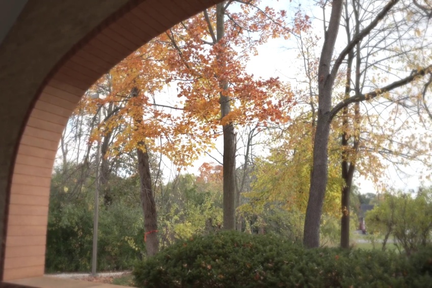 vlcsnap-2025-12-29-13h04m15s421