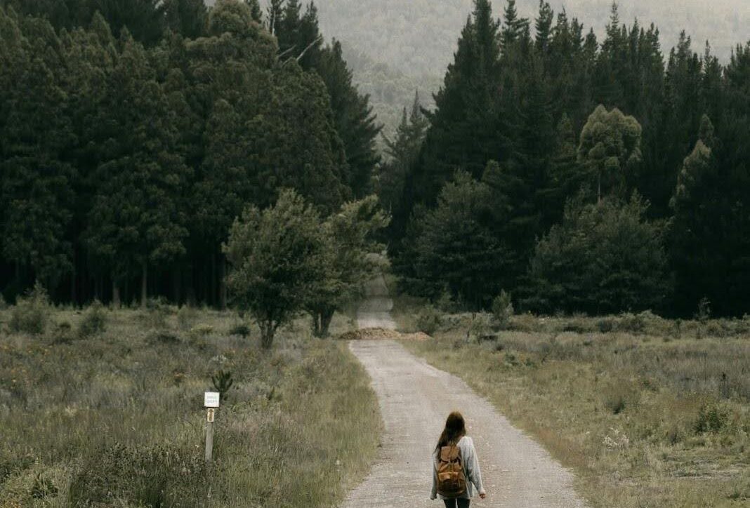 Woman walking down a forest road, symbolizing recovery and the question, “How many people relapse after rehab?”