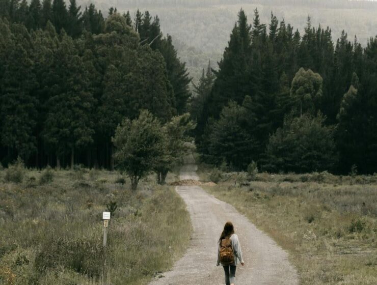 Woman walking down a forest road, symbolizing recovery and the question, “How many people relapse after rehab?”