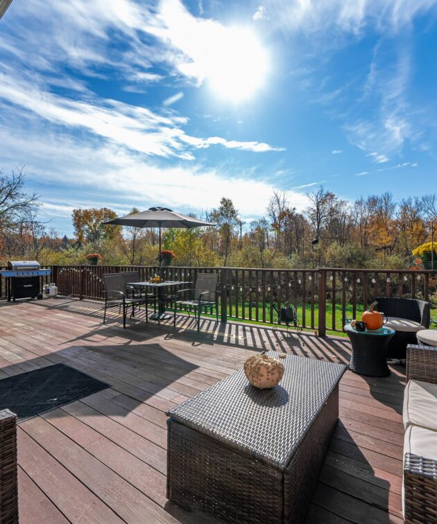 Prosperity Haven - 44-min