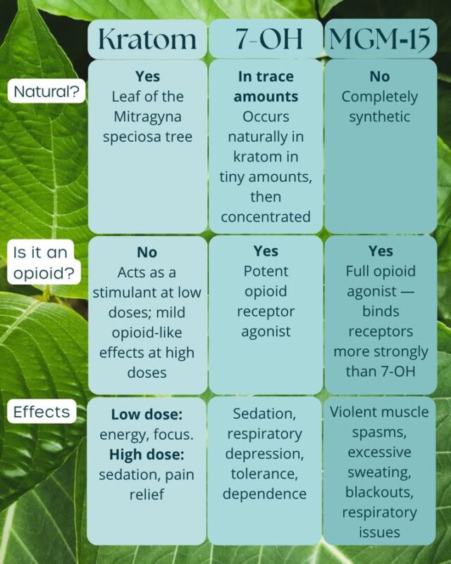 At first glance, these three products may seem closely related.

But when you compare them side by side, the differences are striking.

One of the biggest concerns we're seeing is that products marketed under the "kratom" umbrella can have dramatically different pharmacological effects. While many consumers believe they're purchasing a natural botanical supplement, some products on the market today are concentrated or synthetic opioid agonists with significant dependence potential.

As clinicians, staying informed about these emerging substances is becoming increasingly important as they appear more frequently in treatment settings.

Our latest blog takes a deeper dive into each of these compounds and why understanding the differences matters for patient education and treatment planning.

For those working in addiction treatment, behavioral health, emergency medicine, or primary care:
How can we do a better job of educating the public about these rapidly evolving substances?

View our blog for a more in-depth comparison of these substances.

#AddictionTreatment #BehavioralHealth #SubstanceUseDisorder #Kratom #RecoverySupport #MentalHealthProfessionals